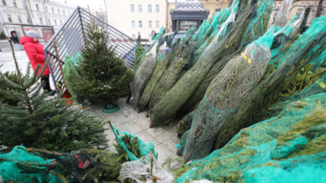    Фото: Bulkin Sergey/Globallookpress.