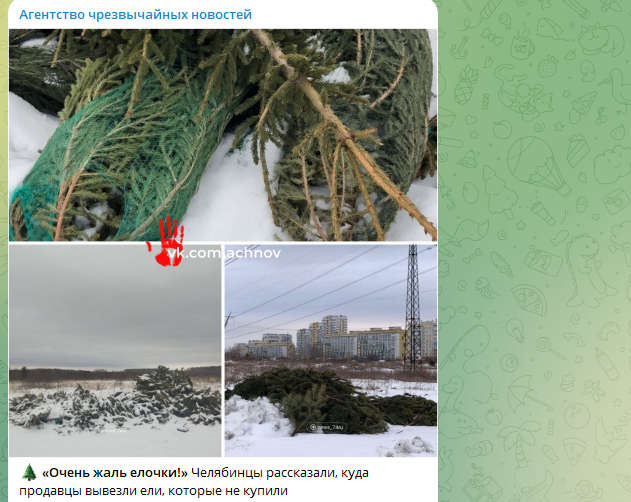    Скриншот ТГ-канала "Агентство чрезвычайных новостей".