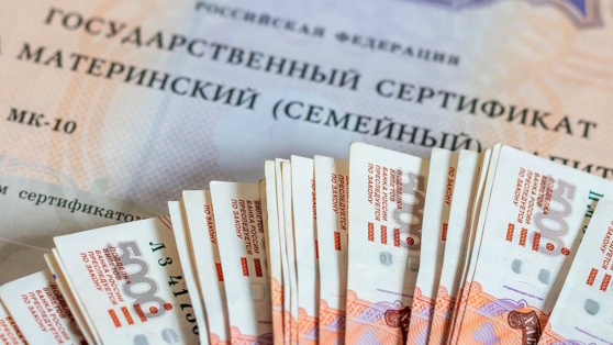    В ГД разрабатывают законопроект о праве тратить маткапитал на обучение родителей Алина Городниченко