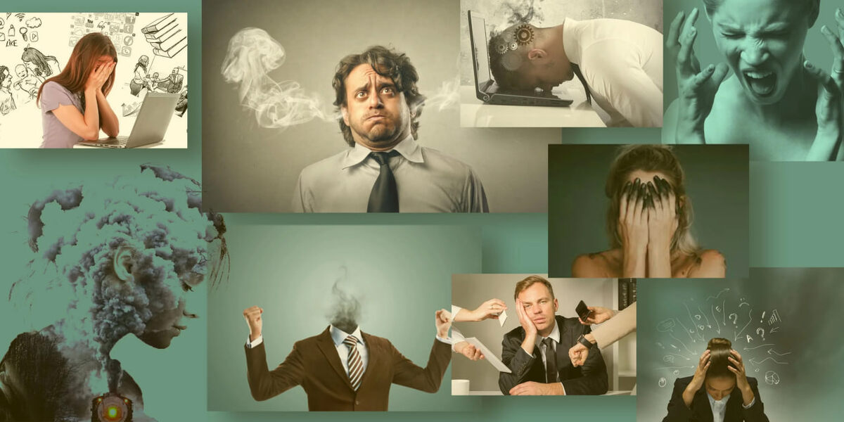 Из открытых источников