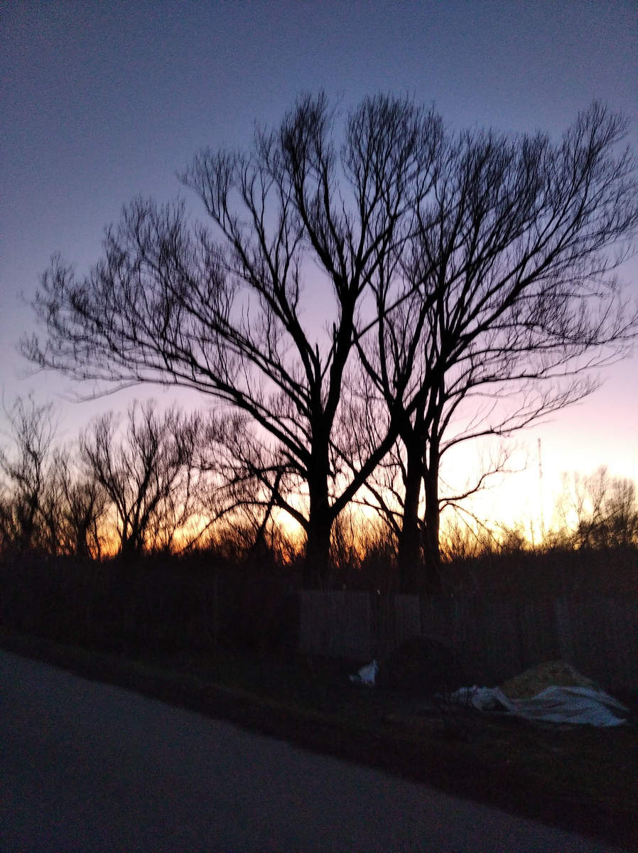 Волшебство существует,  главное уметь видеть.