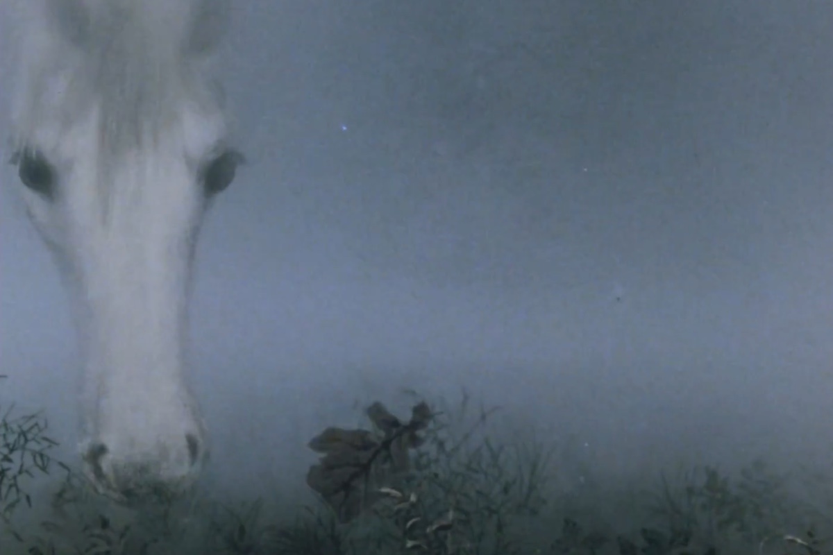 Soyuzmultfilm / YouTube📷Кадр из мультфильма «Ежик в тумане»