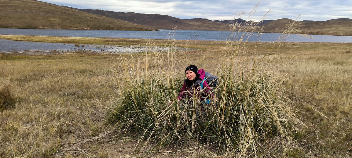 Нашли гнездо 