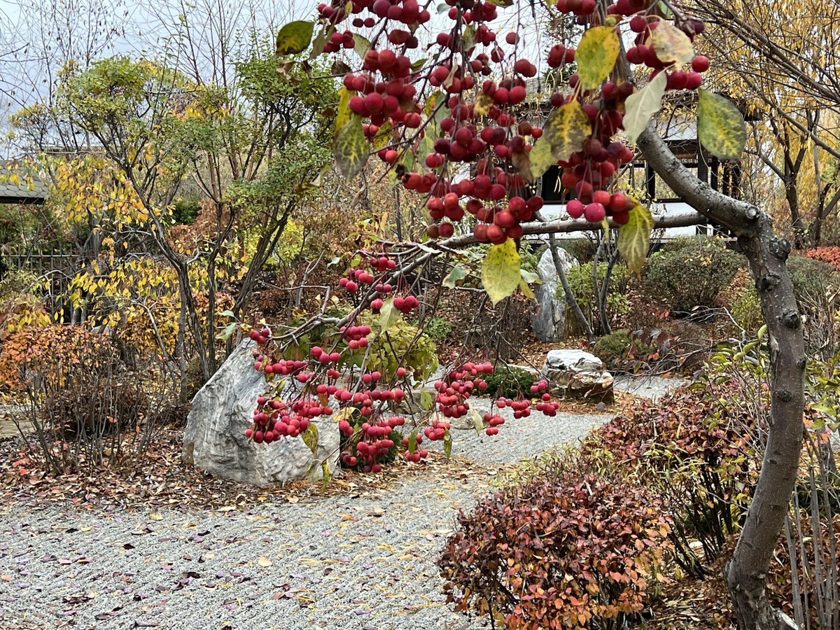 Фото из личного архива
