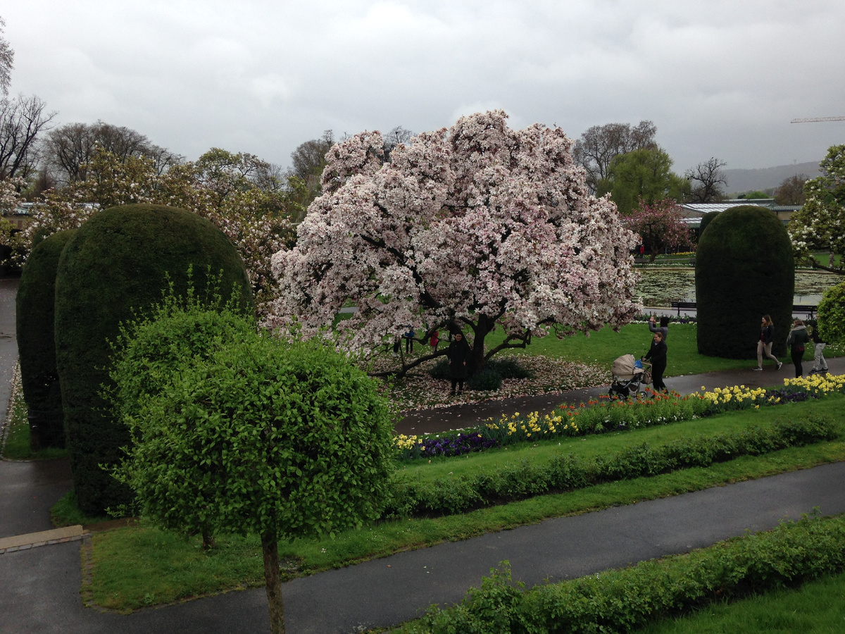 Фото из личного архива