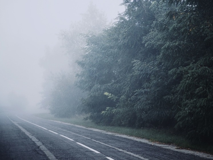     Фото: Pixabay.com.