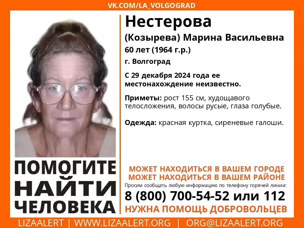     Источник: «Лиза Алерт»