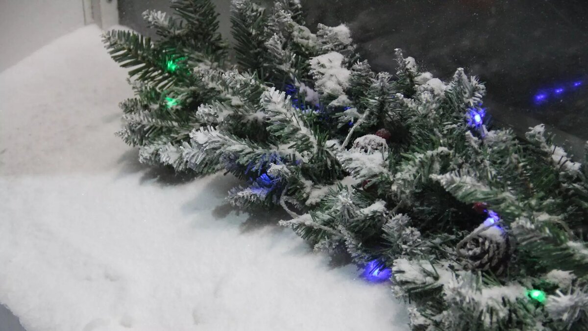     Источник: 1MI