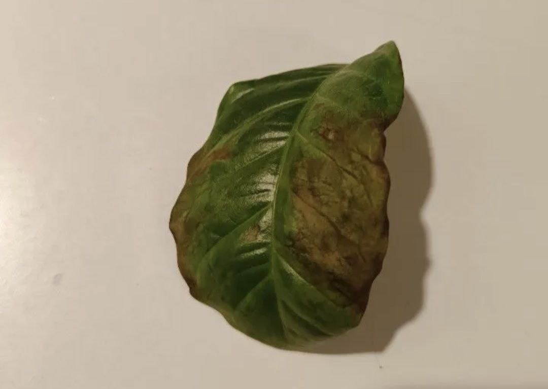 Фото из личной переписки.