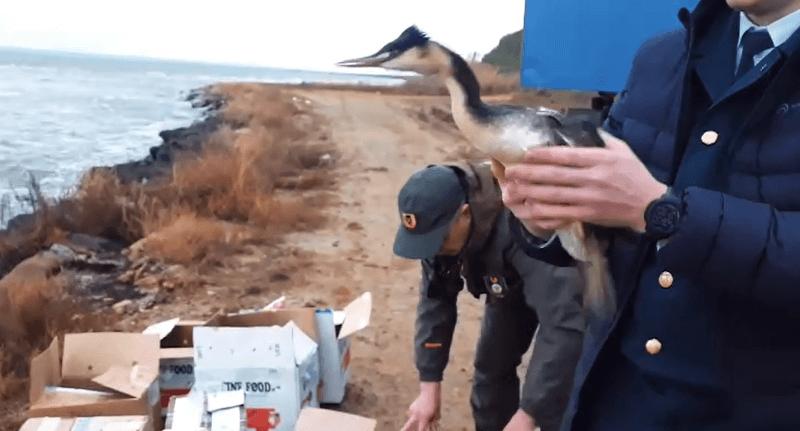    Фото t.me/opershtab23