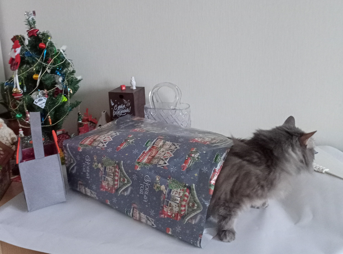 Подарок свой ищет...