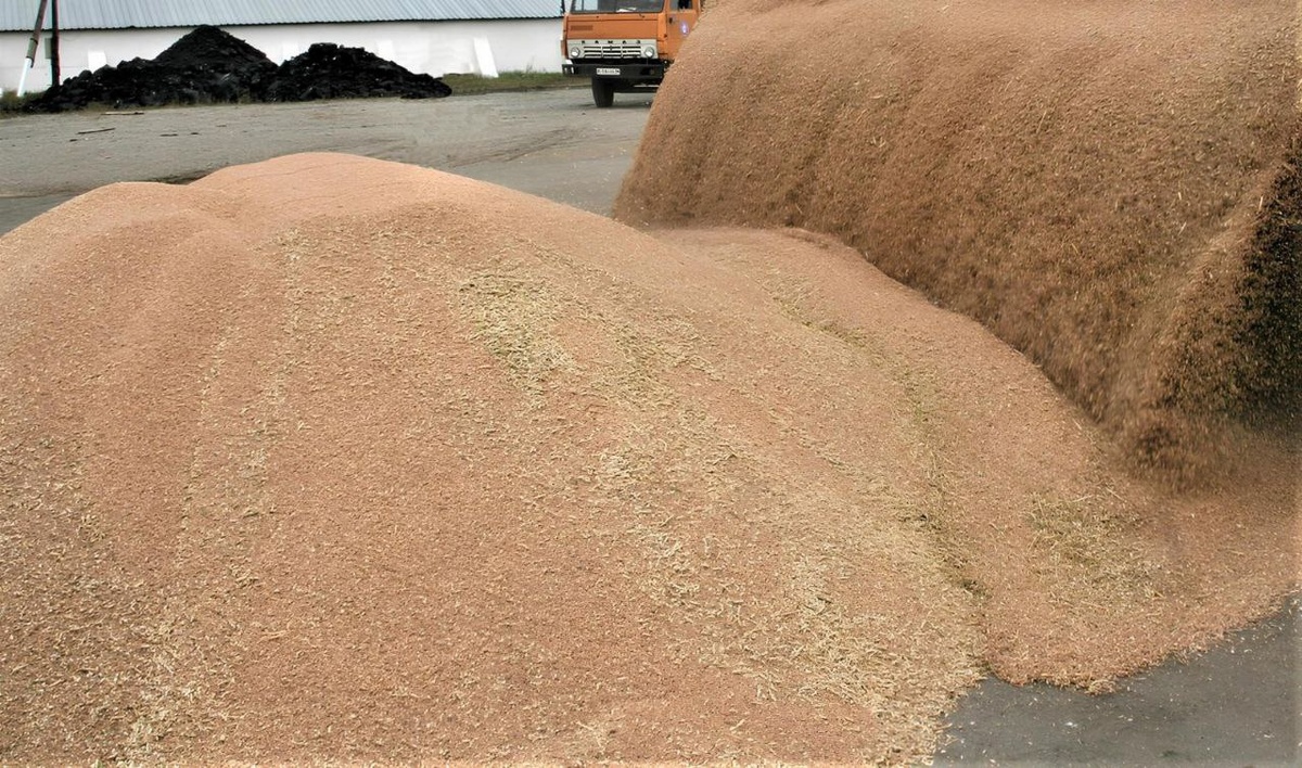 фото: АПК Новости