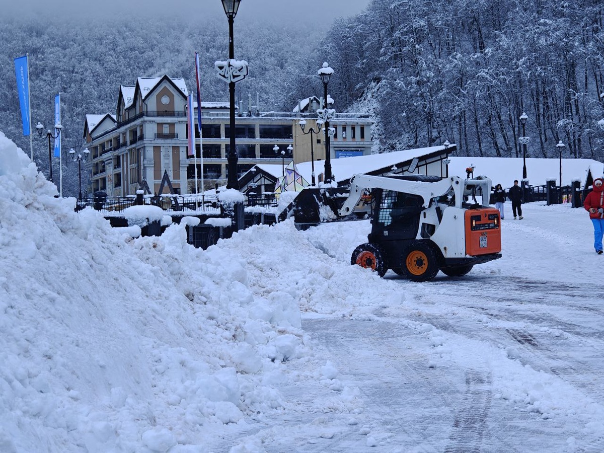    Фото: Юрий Серебренников/BFM Кубань