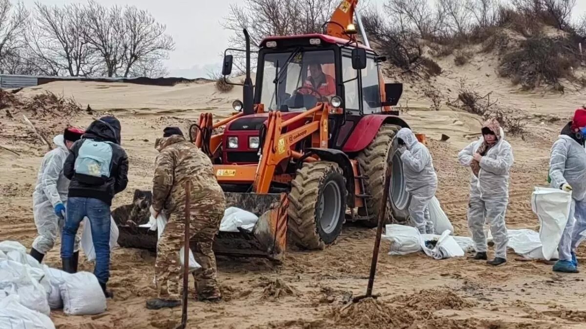 Уборка мазута на пляже. Фото: Анапа.ру