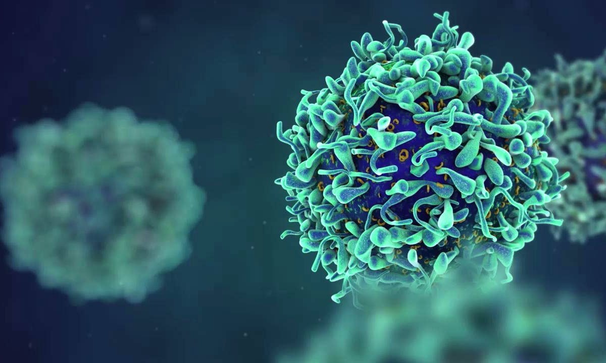 Метапневмовирус: что это такое и чем опасен для человека