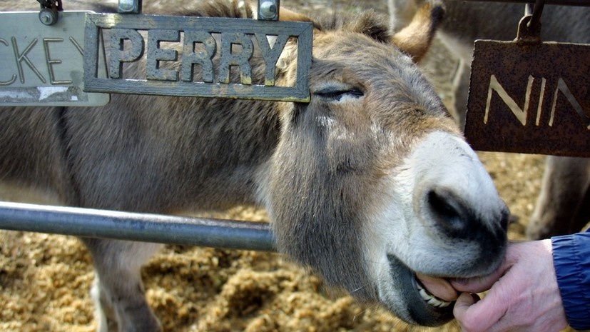   Legion-Media JOANNE HOYOUNG LEE