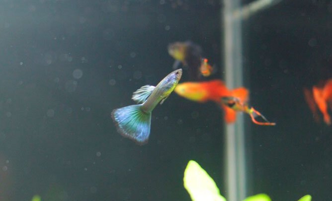 Фото автора. 