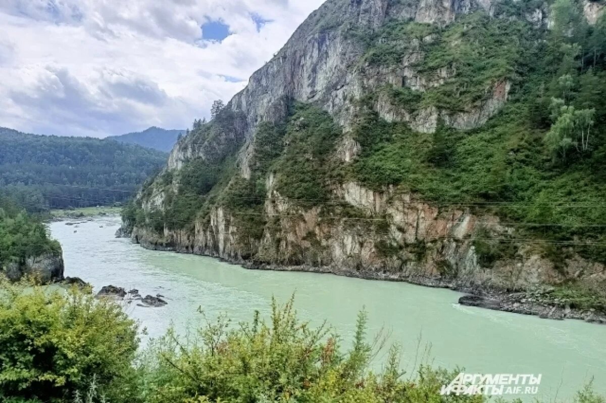    Республика Алтай стала самым экологичным регионом страны по итогам осени