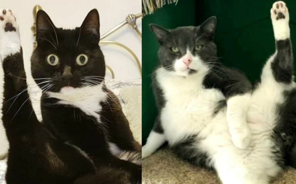 Здарова, ребята! Добро пожаловать на наш канал! 