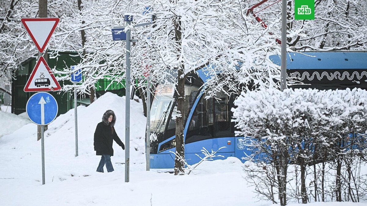    Фото: РИА Новости © 2025, Михаил Воскресенский