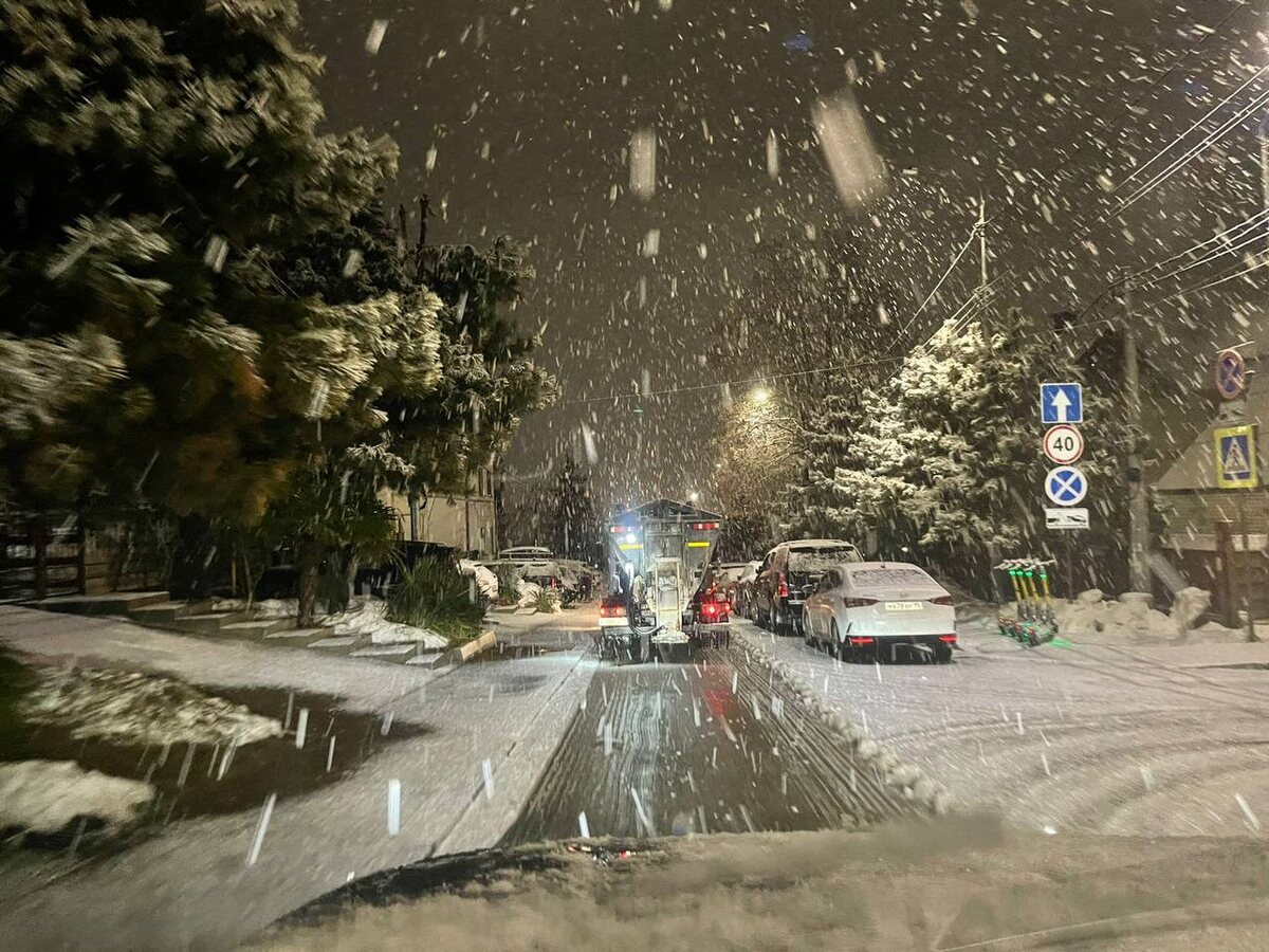    Фото: Telegram/Сочи Официальный