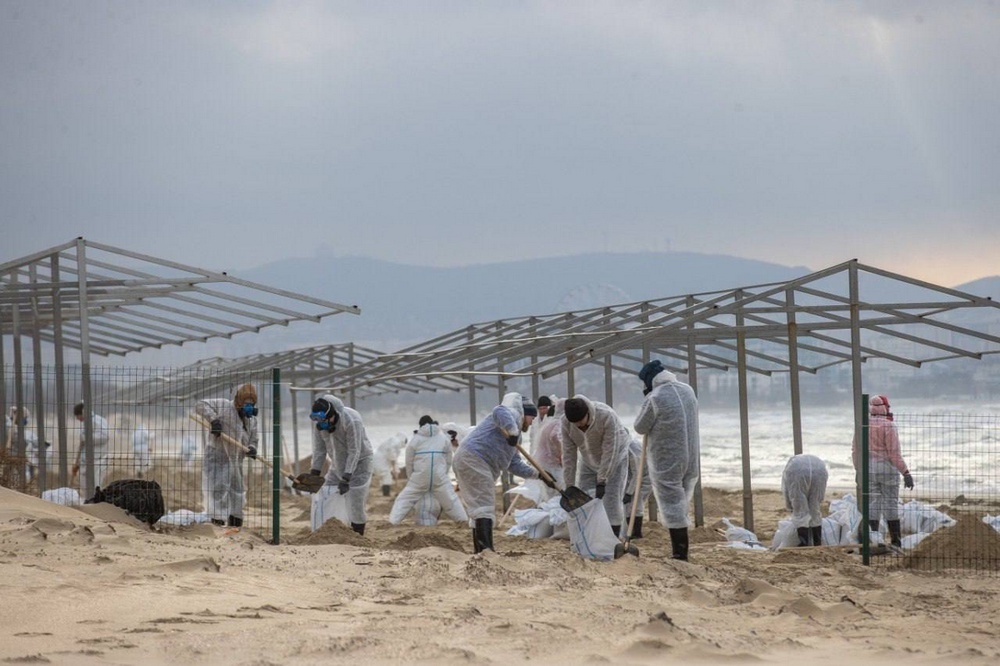    Фото: admkrai.krasnodar tamannews