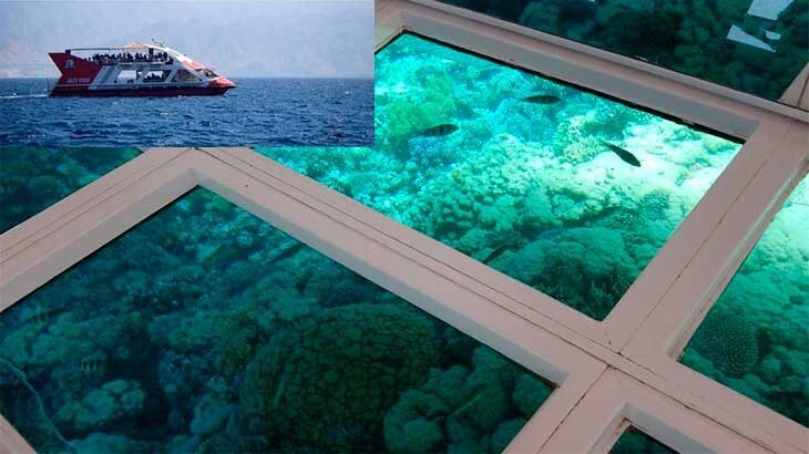 На катере с панорамным дном.