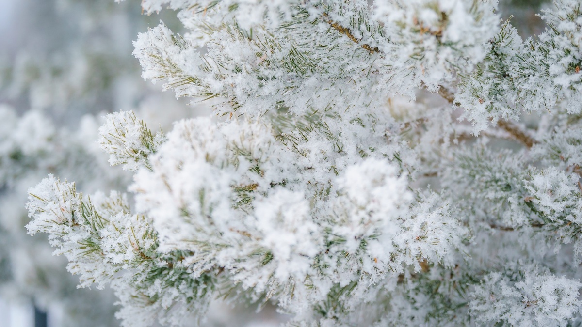    Югру 5 января частично накроет метель и снегопад