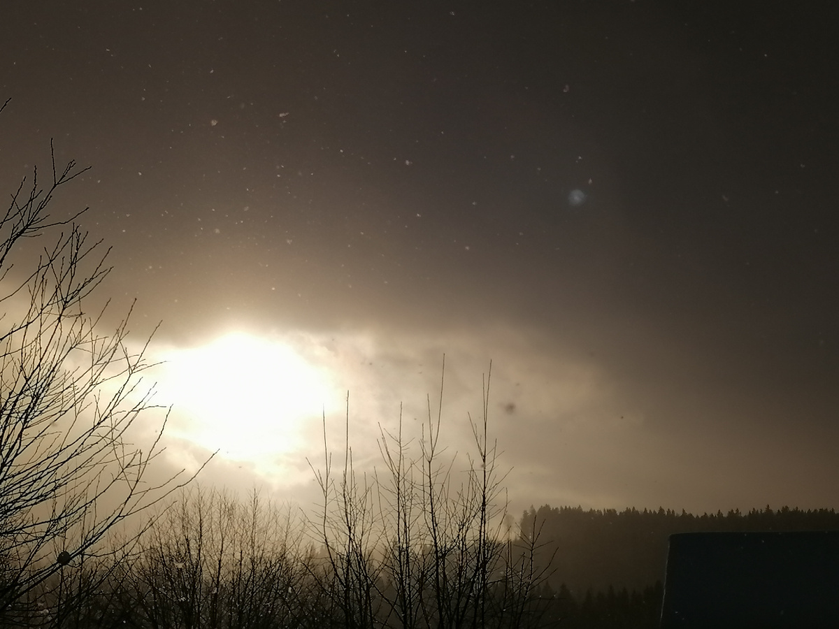 Утро. Вид с веранды.