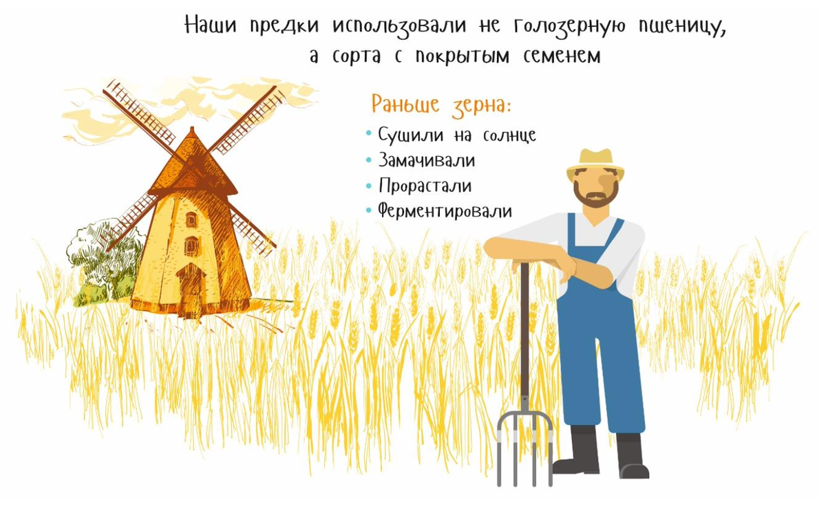 Материал для статьи взят из моей книги "Еда - как лекарство" в 2х томах.