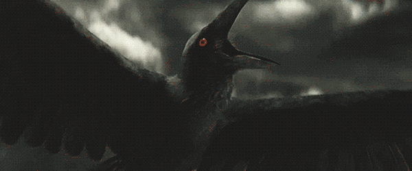 Фото: Яндекс картинки