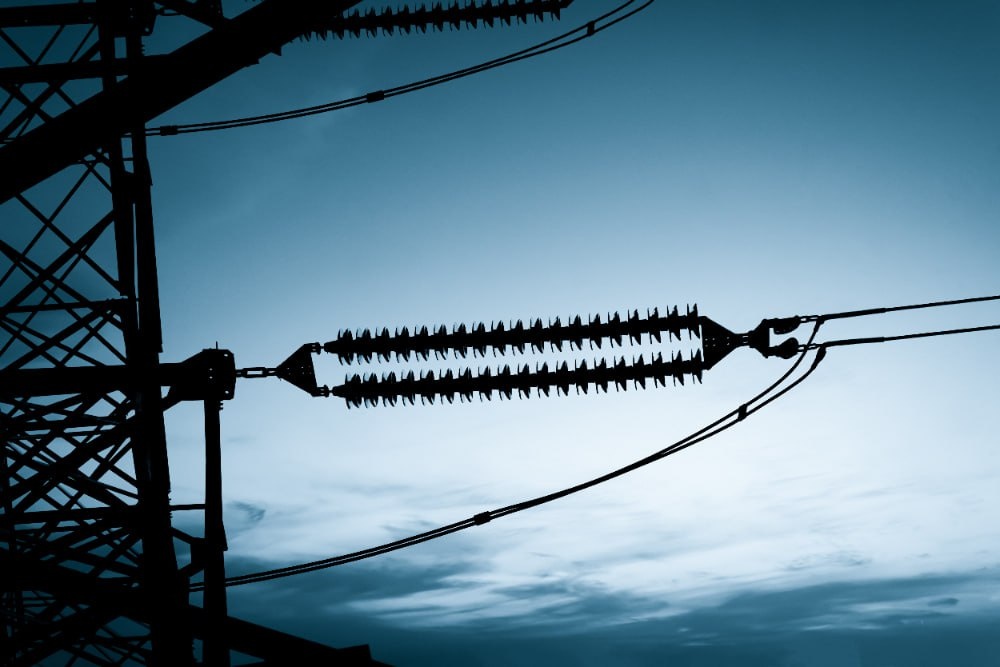    Фото: evening_tao/Freepik