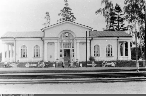 Вокзал станции Горьковское. К сожалению его уже нет. Из картинок Яндекса