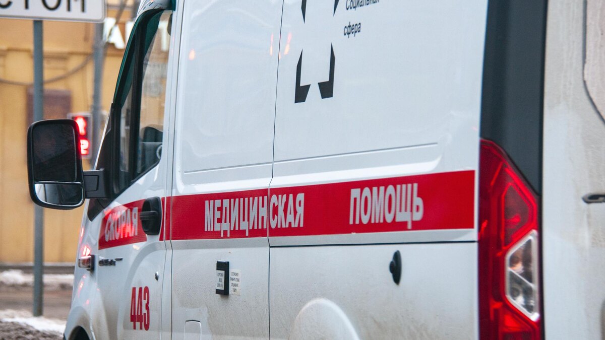 Фото: Svetlana Vozmilova/globallookpress.com