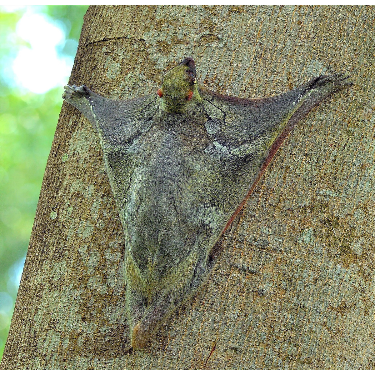 днем я отдыхаю