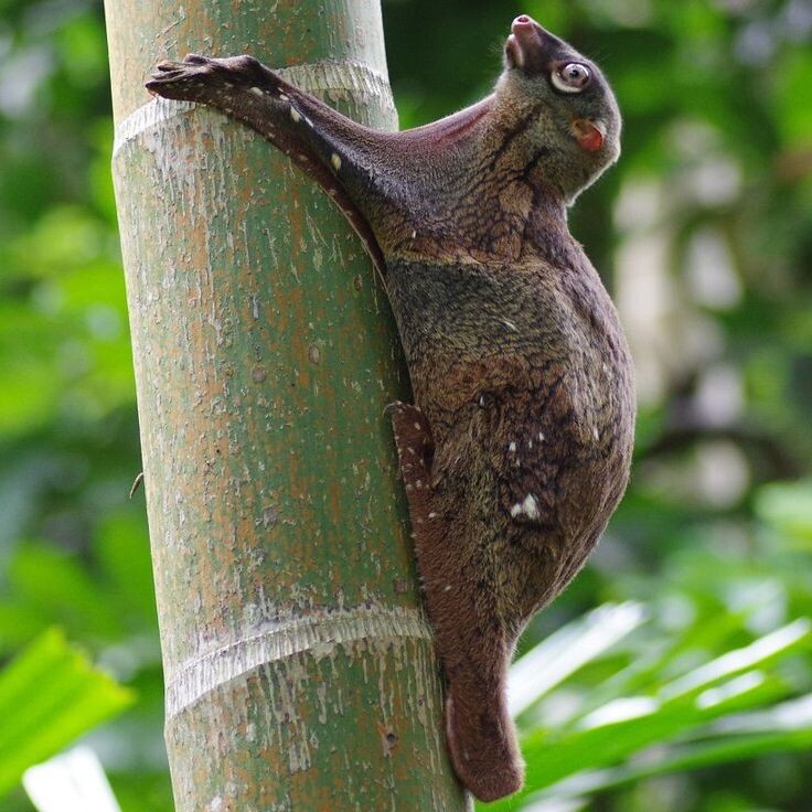 все еще отдыхаю