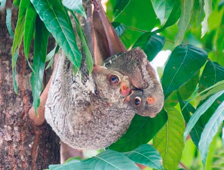 когда когда  ноооосчь