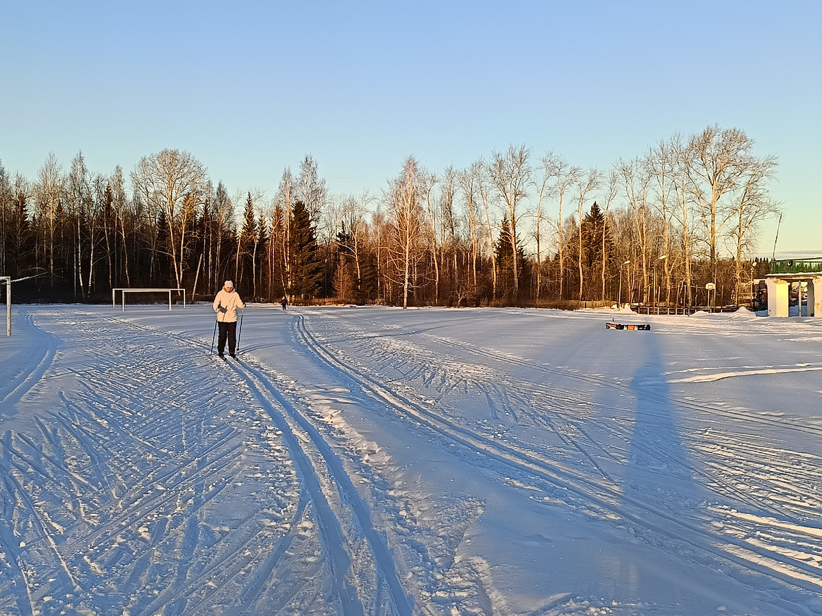 Много человек бегает