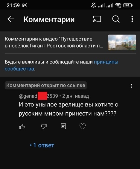 Фото автора. Комментарий к моему видео на Ютубе