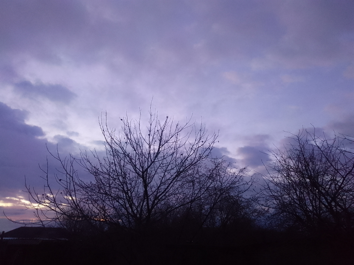 Встретила рассвет