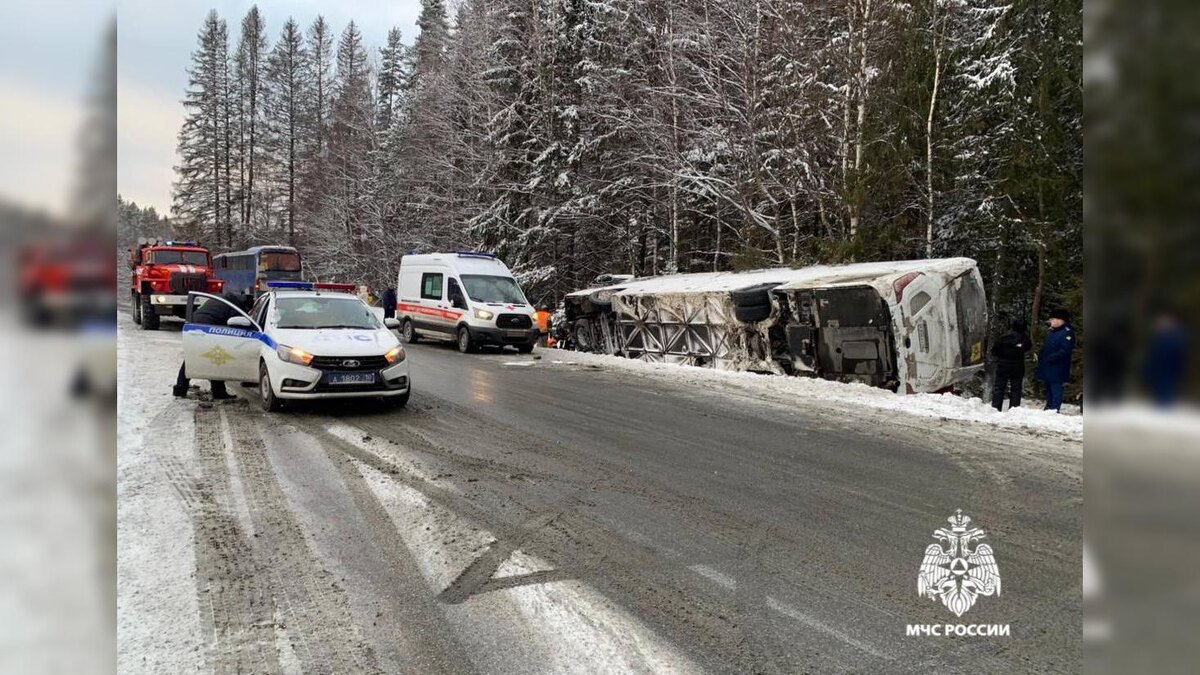    Фото: МЧС РФ