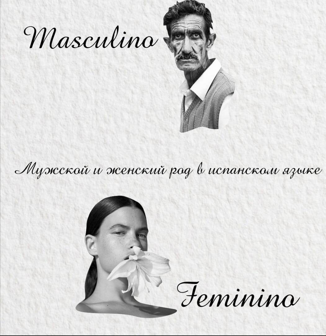 Грамматический род существительных в испанском языке