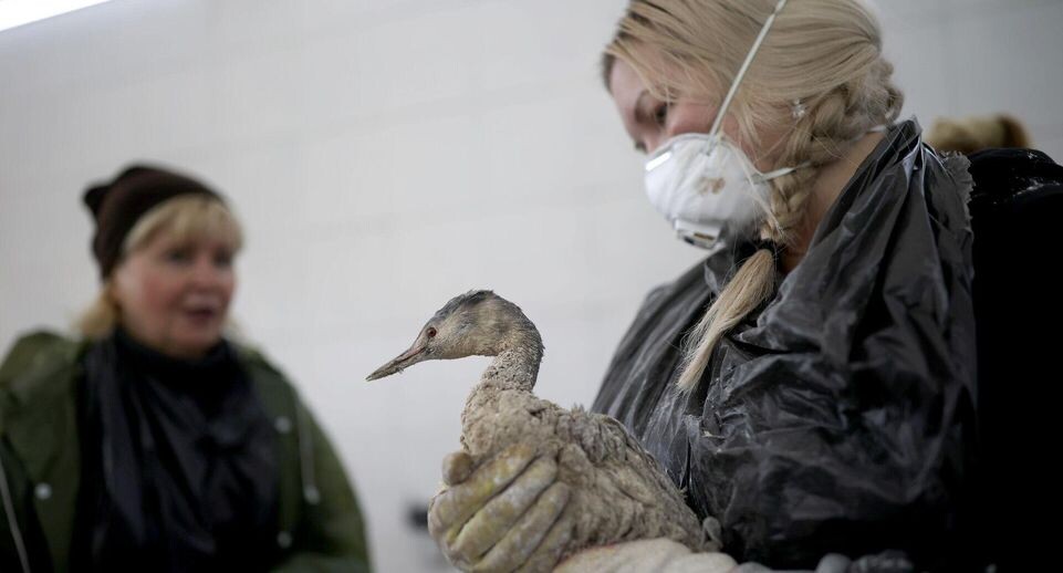    РИА «Новости»