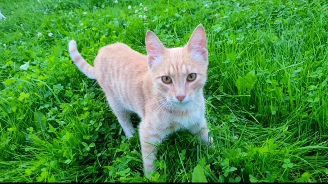 Вот так и пришёл)