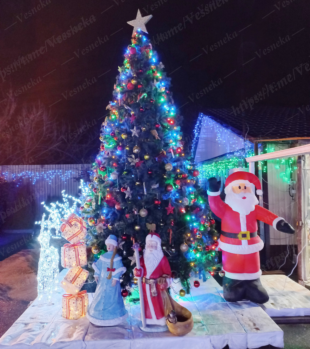 Фото автора