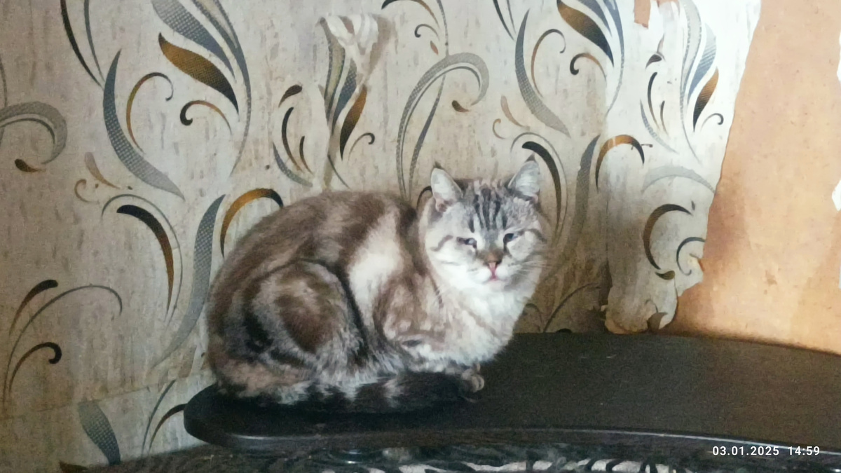 Марио не нравится квартира. 