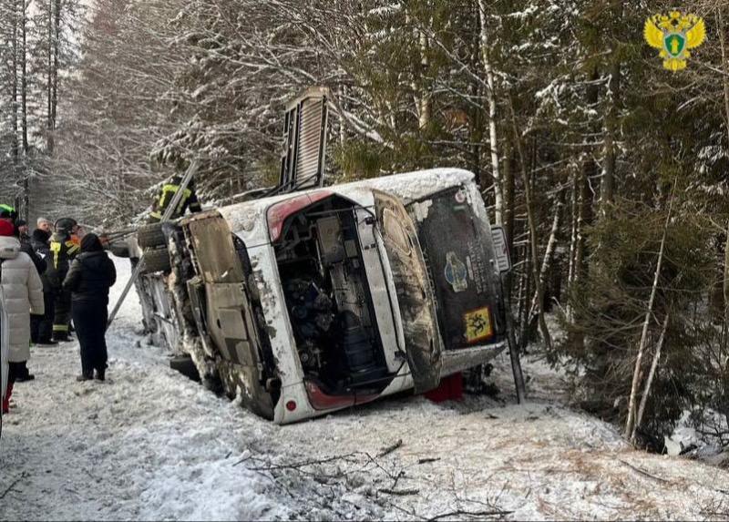   Появились фото с места ДТП в Карелии, где пострадали туристы с детьмиМЧС Карелии