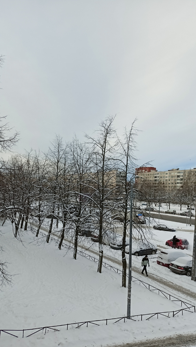 Фото автора. 13ч. СПб.