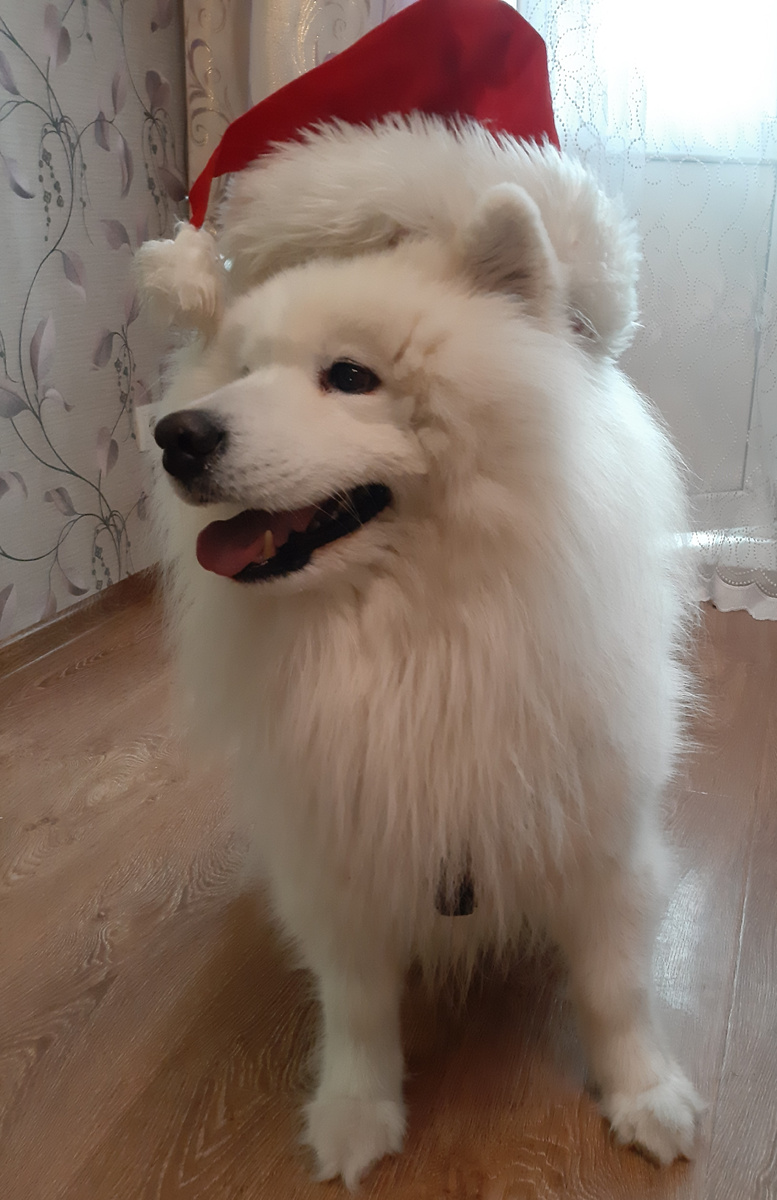 Мой красавчик