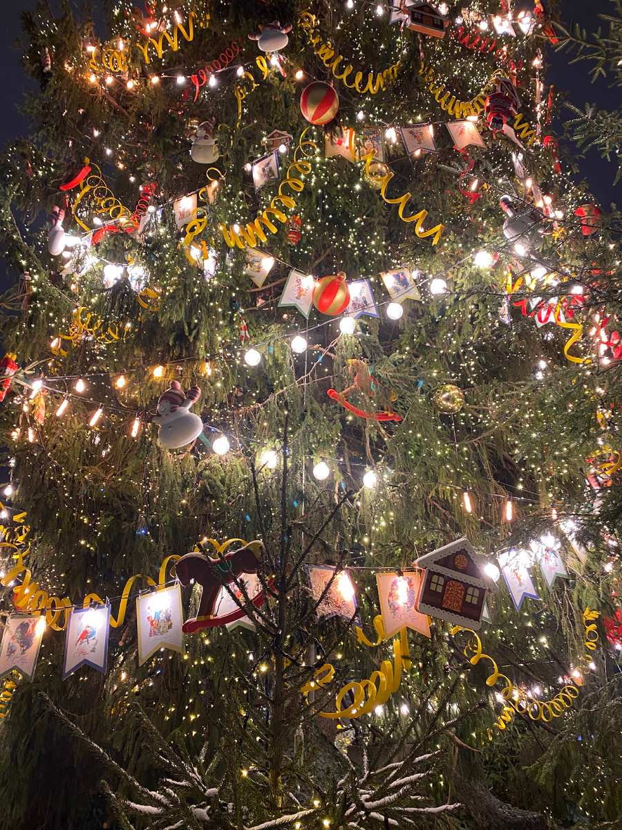 Фото автора 